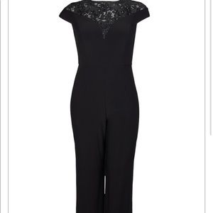 Adrianna Papell Womens Plus Lace Metallic Jumpsuit